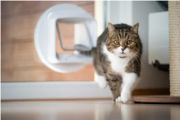 cat flap installation
